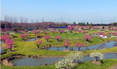 上海金山白龙湖地址在哪里