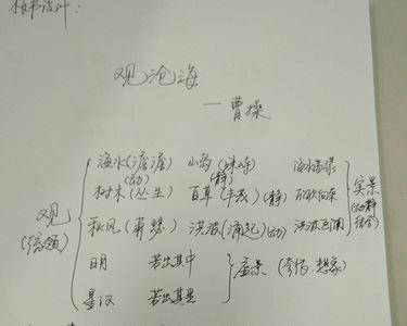 挥洒自如运用了什么修辞手法