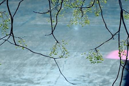 飘洒的秋雨象什么