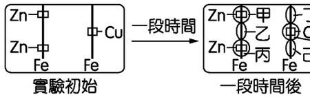 fecl2被氧化变质为什么