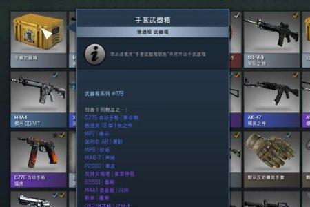 csgo存什么箱子