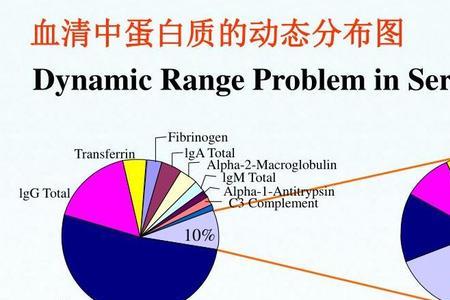 蛋白的分子量有可能变化吗