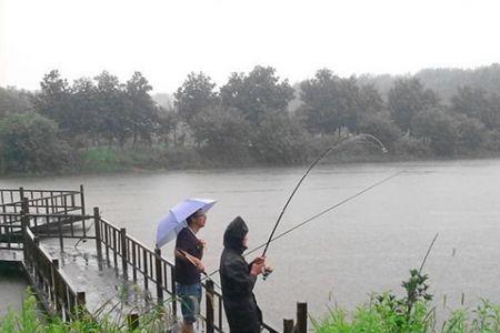 下雨前几个小时钓鱼