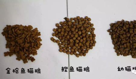 怎样判断猫粮咸不咸