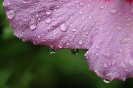 三年级一什么秋雨量词