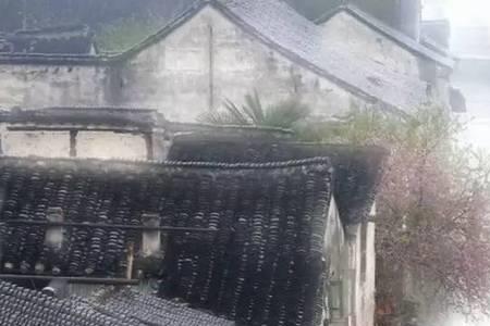 潇潇雨是什么意思