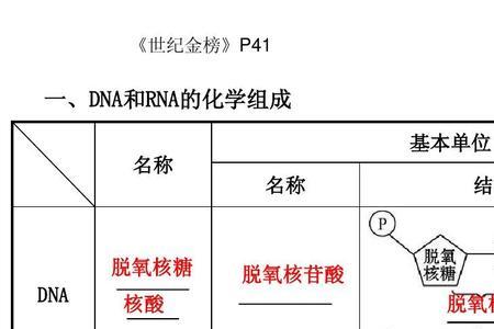 rna和na的区别