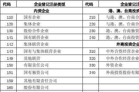 新型企业类型