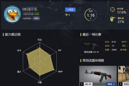 CS go u先号是永久的吗