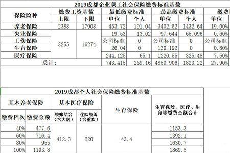 社保内的费用是什么意思