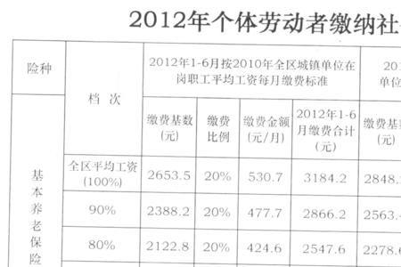 社保缴费有单位怎么显示个体户