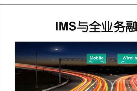 ims指数