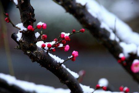 百丈寒千堆雪什么意思