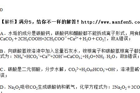 与碳酸钙同属于盐的物质是h2co3吗