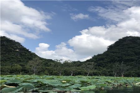 去普者黑住景区里好还是景区外