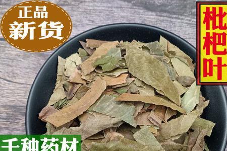 新鲜枇杷叶和干枇杷叶的区别