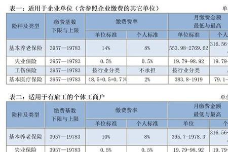 灵活就业a档是什么意思