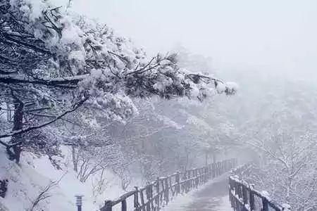 烟雨楼天书给了李子夜什么