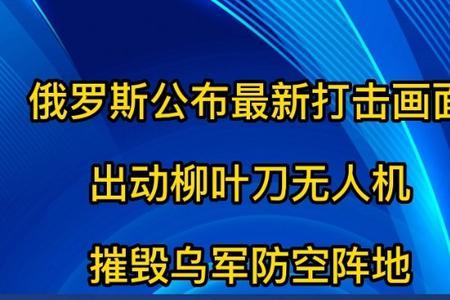 柳叶刀无人机最大飞行高度