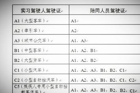 N驾驶证怎么考