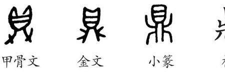 鼎的大写字母是什么