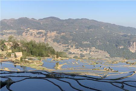 11月下旬去元阳梯田怎么样