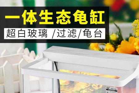 龟死在缸里用不用换水