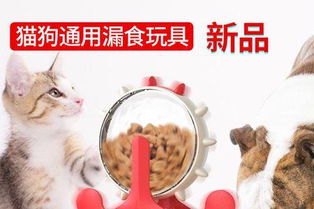 蛋壳粉可以喂猫吗