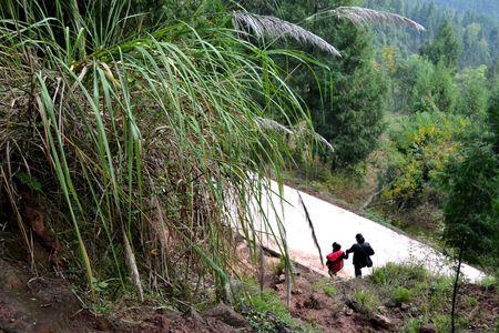 关于爬山回家的路上