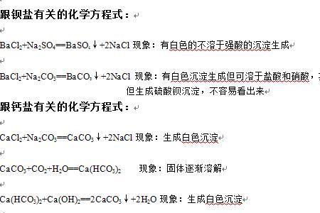 碳转化为盐化学方程式