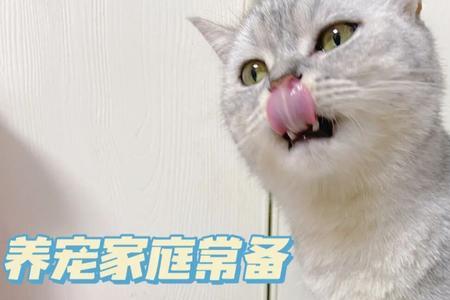 猫可以喝婴儿羊奶粉吗