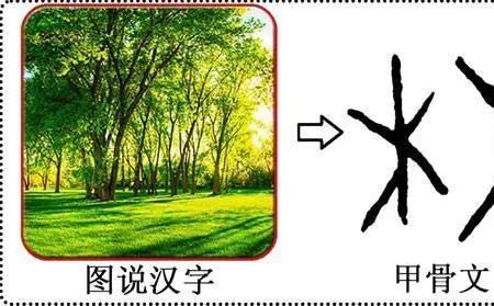 茹是象形字还是会意字