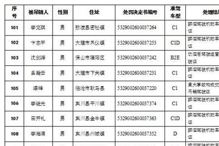 开拼装车吊销驾驶证几年