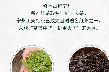 宁红茶哪个店最正宗