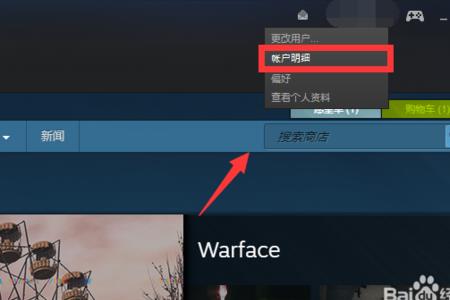 steam看不了账户明细