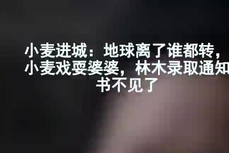 小麦进城林爸爸会走了吗