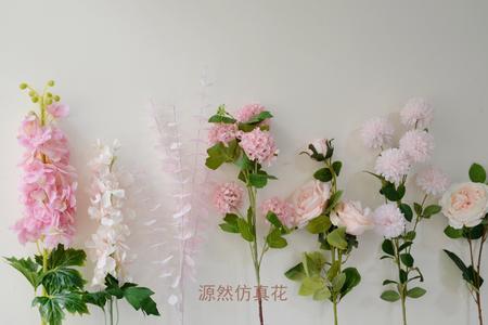 波西米亚玫瑰迷雾什么意思