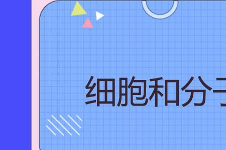 人的细胞是由什么原子组成的