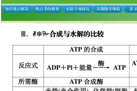 光合作用产生的ATP多少