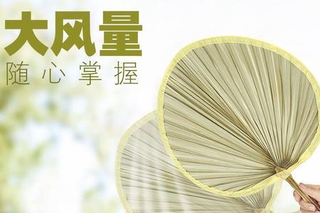 芭蕉扇有什么神力