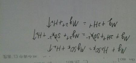 镁和碳加盐水方程式