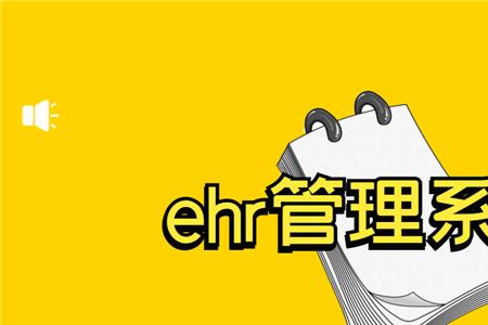 ehr系统是否能查询学历