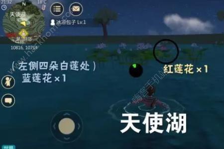 创造与魔法蓬莱须刷新时间