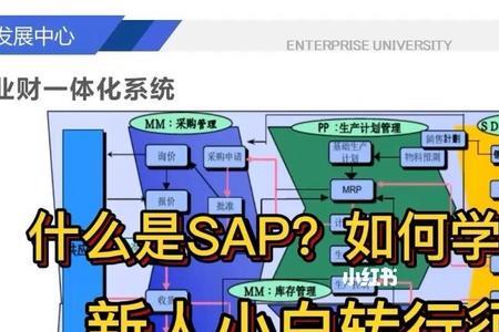 45岁转行学sap靠谱吗