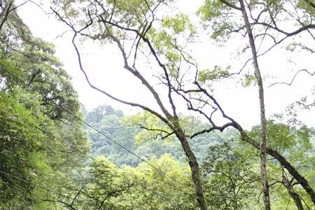 小溪淙淙河流潺潺大海哗哗仿写