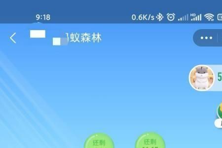 支付宝能量116克是什么