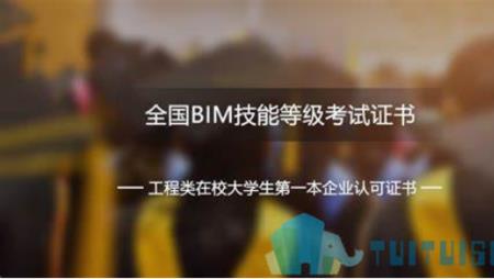 bim考试通过率是多少