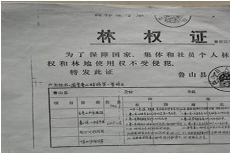 山林确权和1982年山林证哪个有效