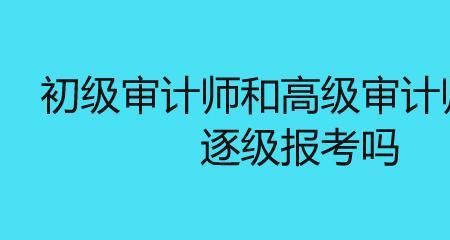 审计专家有什么条件