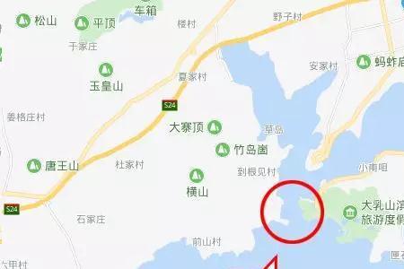 乳山口跨海大桥通车了吗